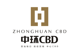 合肥中环城中环CBD房产营销宣传片